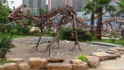 Parasaurolophus Skelton